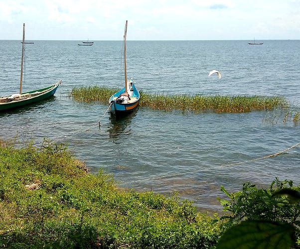 Community volunteering